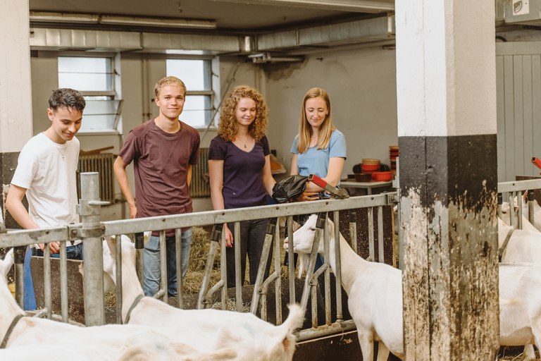 Studierende im Ziegenstall